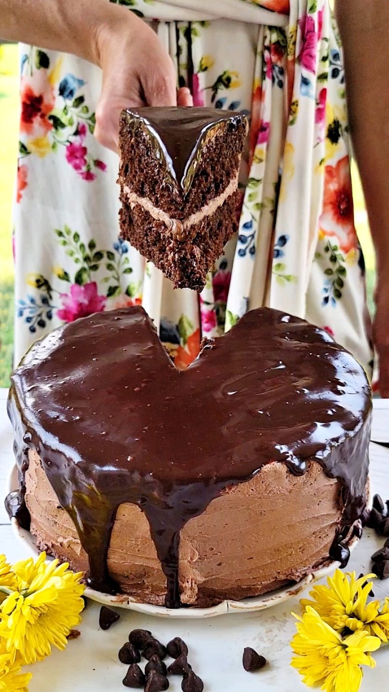 One Bowl Fudgy Chocolate Cake - Simple Baking with Jolene