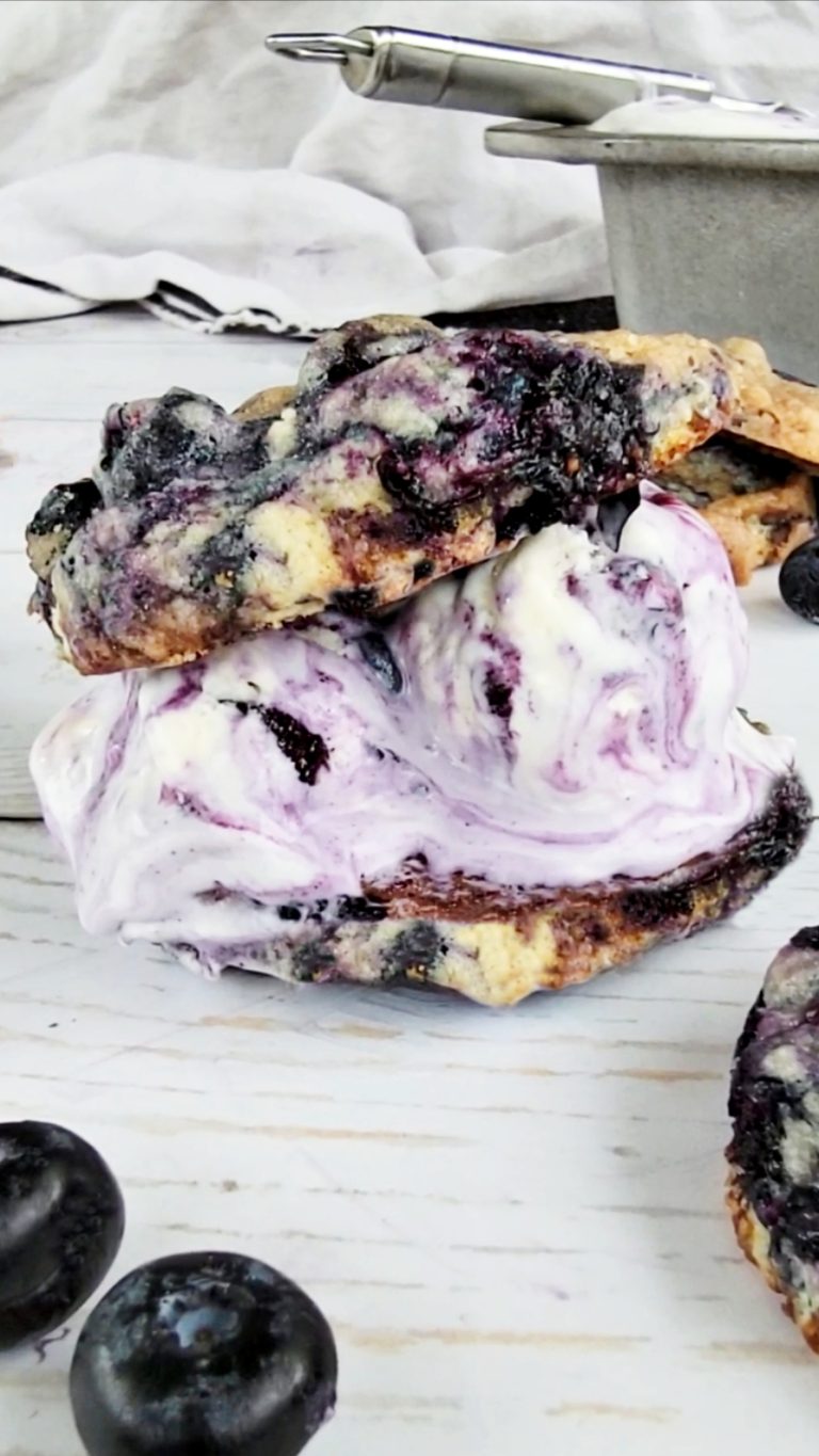 Blueberry Ice Cream Cookie Sandwiches