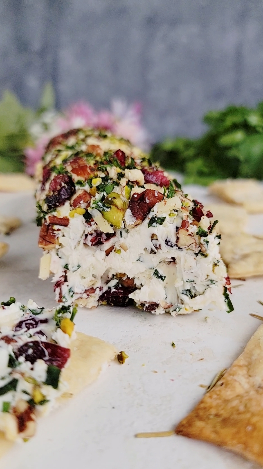 Cranberry Nut Cheese Log