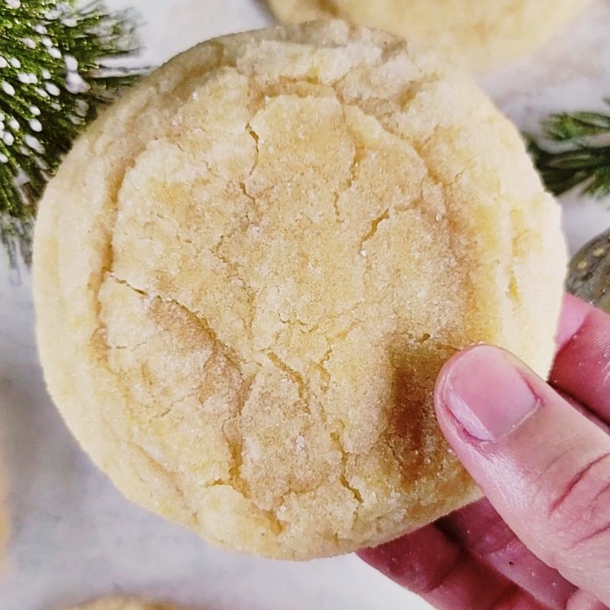 Soft and Chewy Sugar Cookies