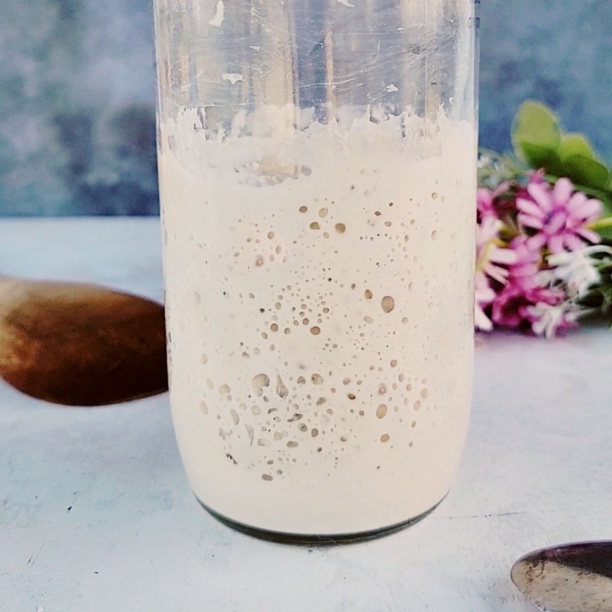 How to make Sourdough Starter