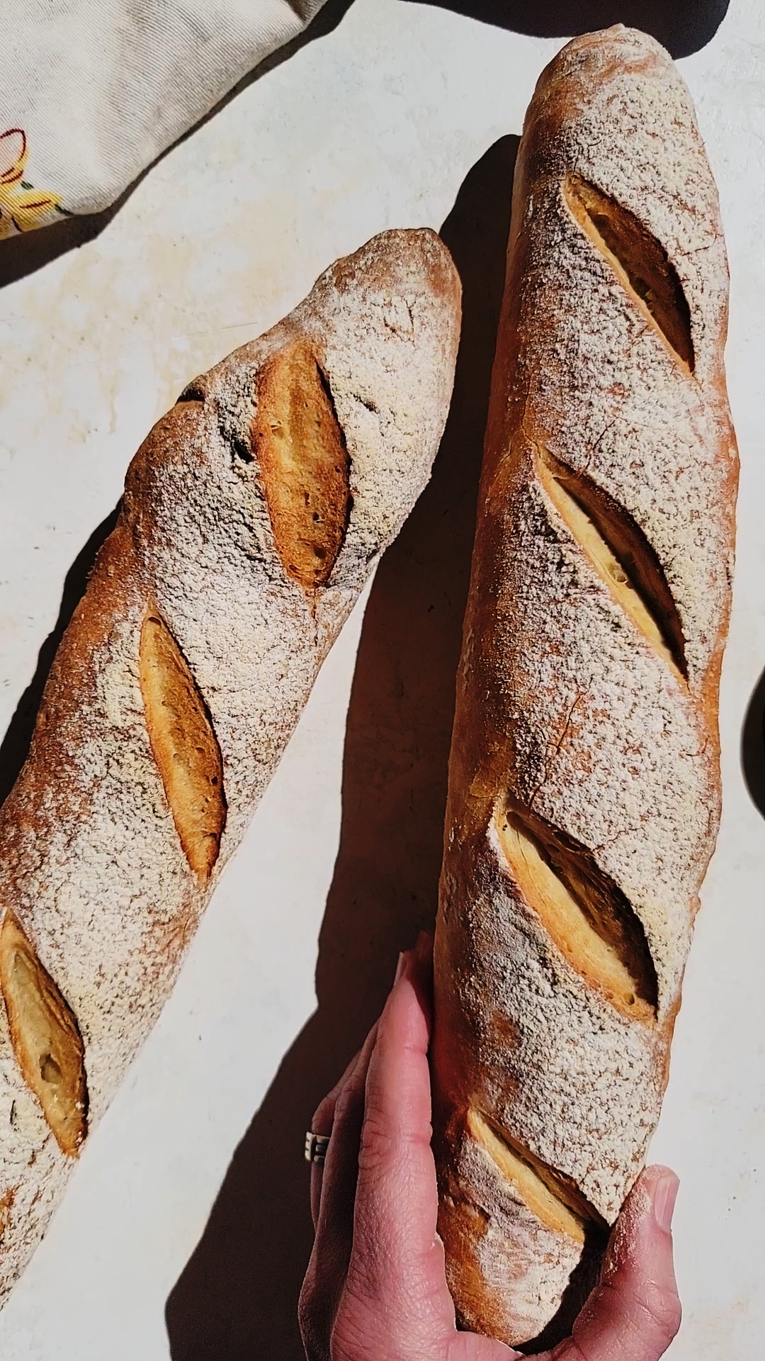 Easy Baguette Recipe