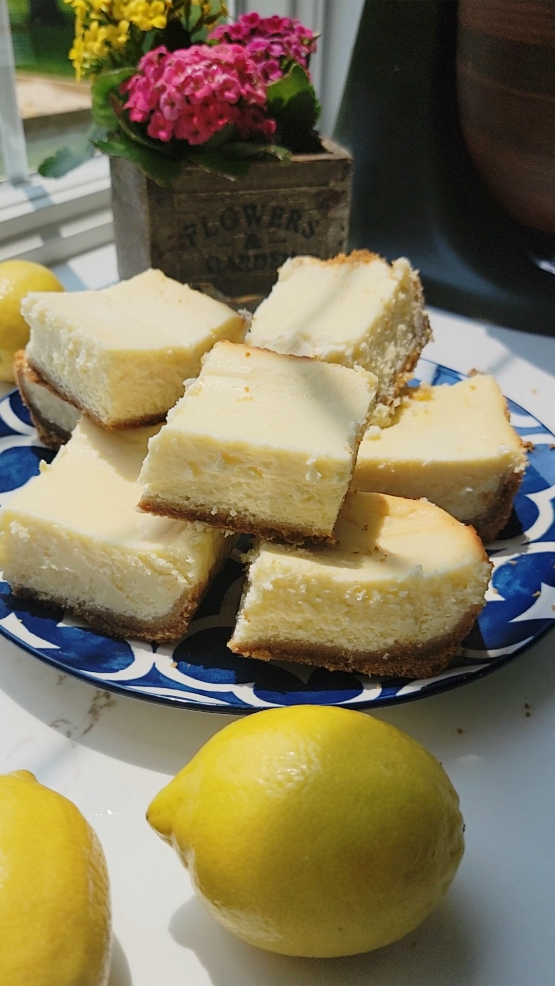 Lemon Cheesecake Bars