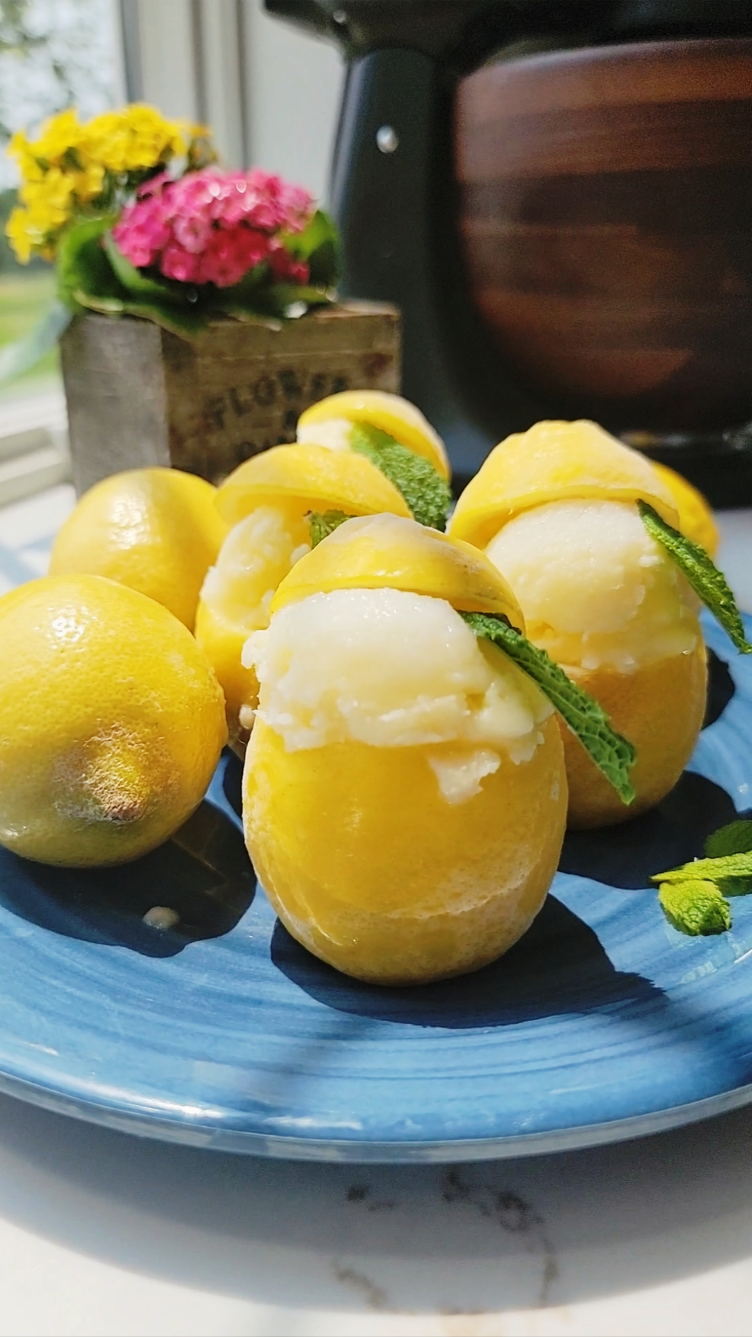Lemon Sorbet