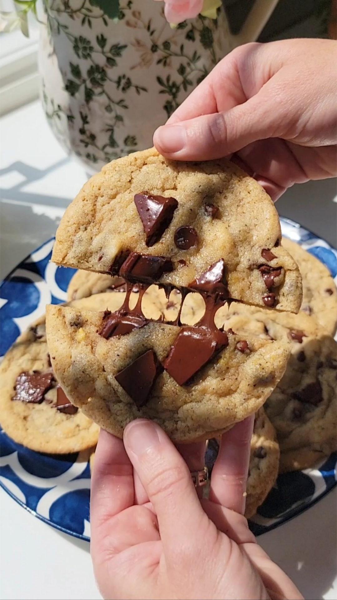 Brown Butter Chocolate Chip Cookies