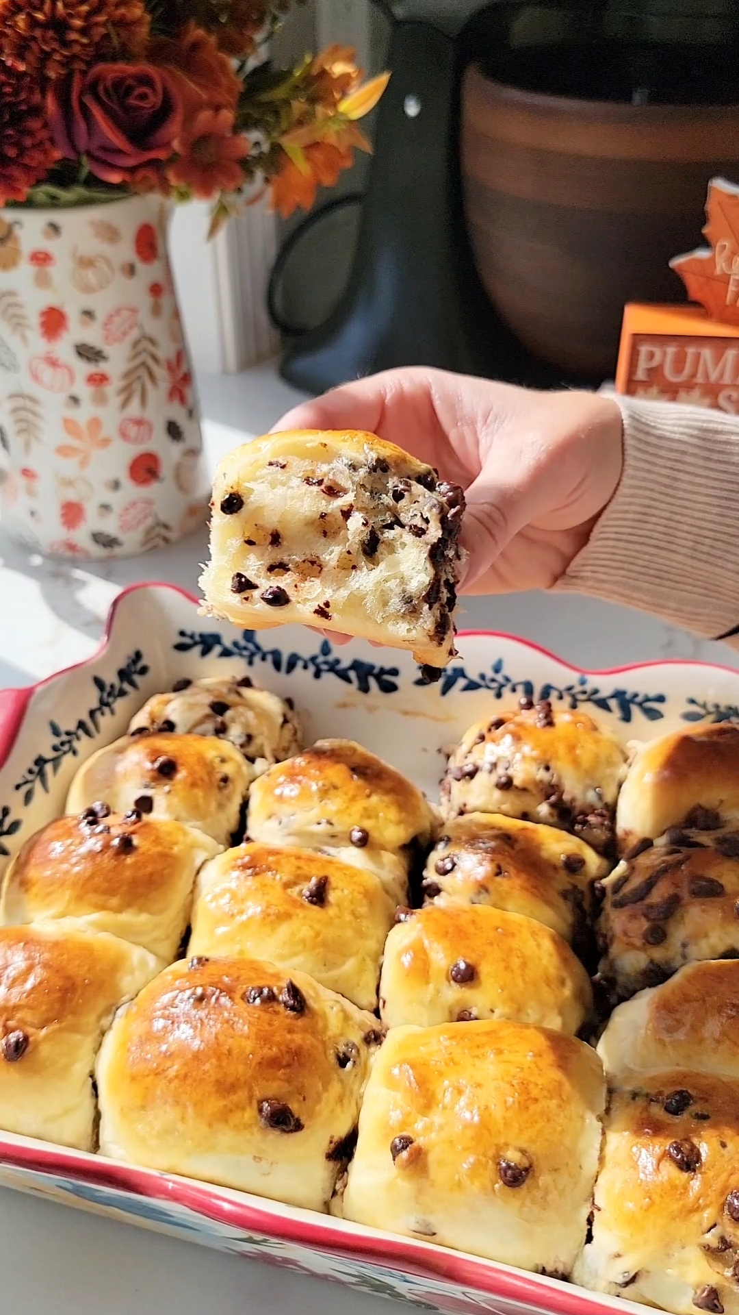 Chocolate Chip Rolls