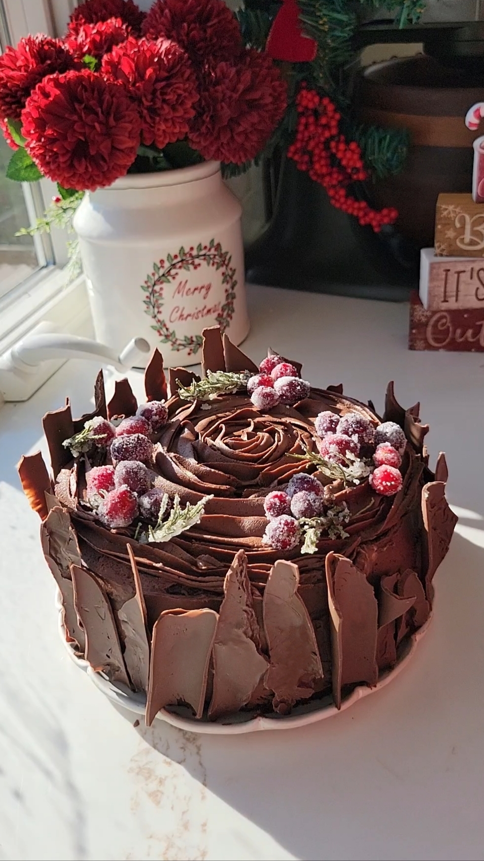 Chocolate Yule Log Cake