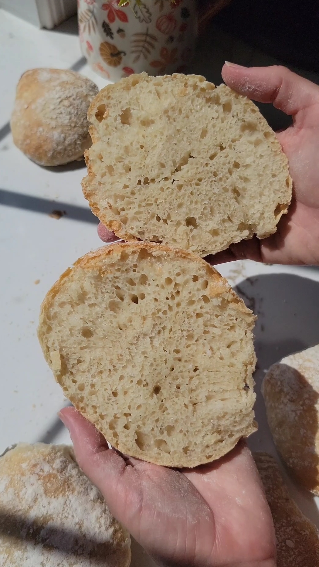 No Knead Ciabatta Bread